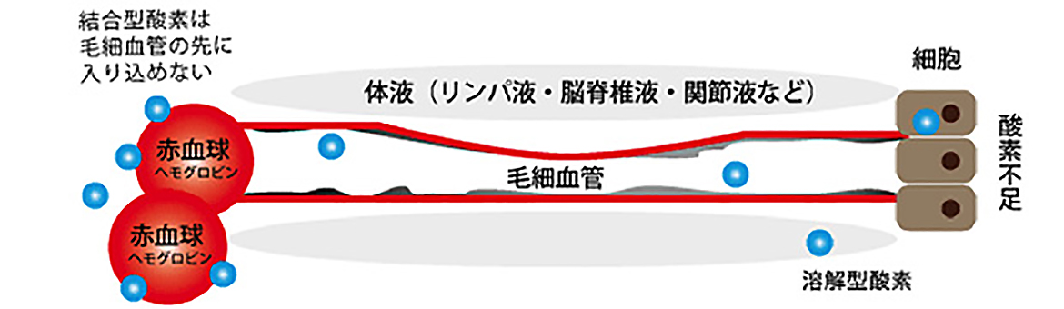 細胞のエネルギーは酸素！！ なのですが・・・