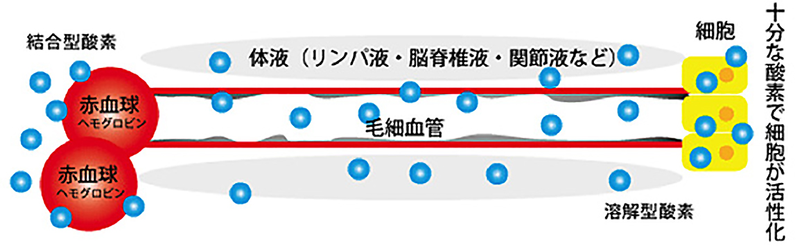 酸素カプセル施術後・・・