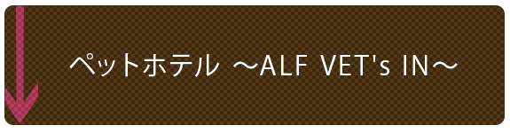 ペットホテル ～ALF VET's IN～