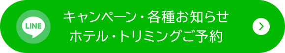 LINE QRコードが表示されます