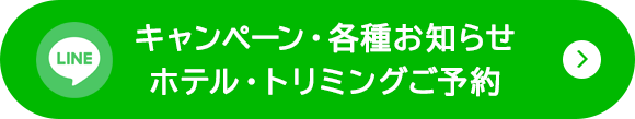 LINE QRコードが表示されます