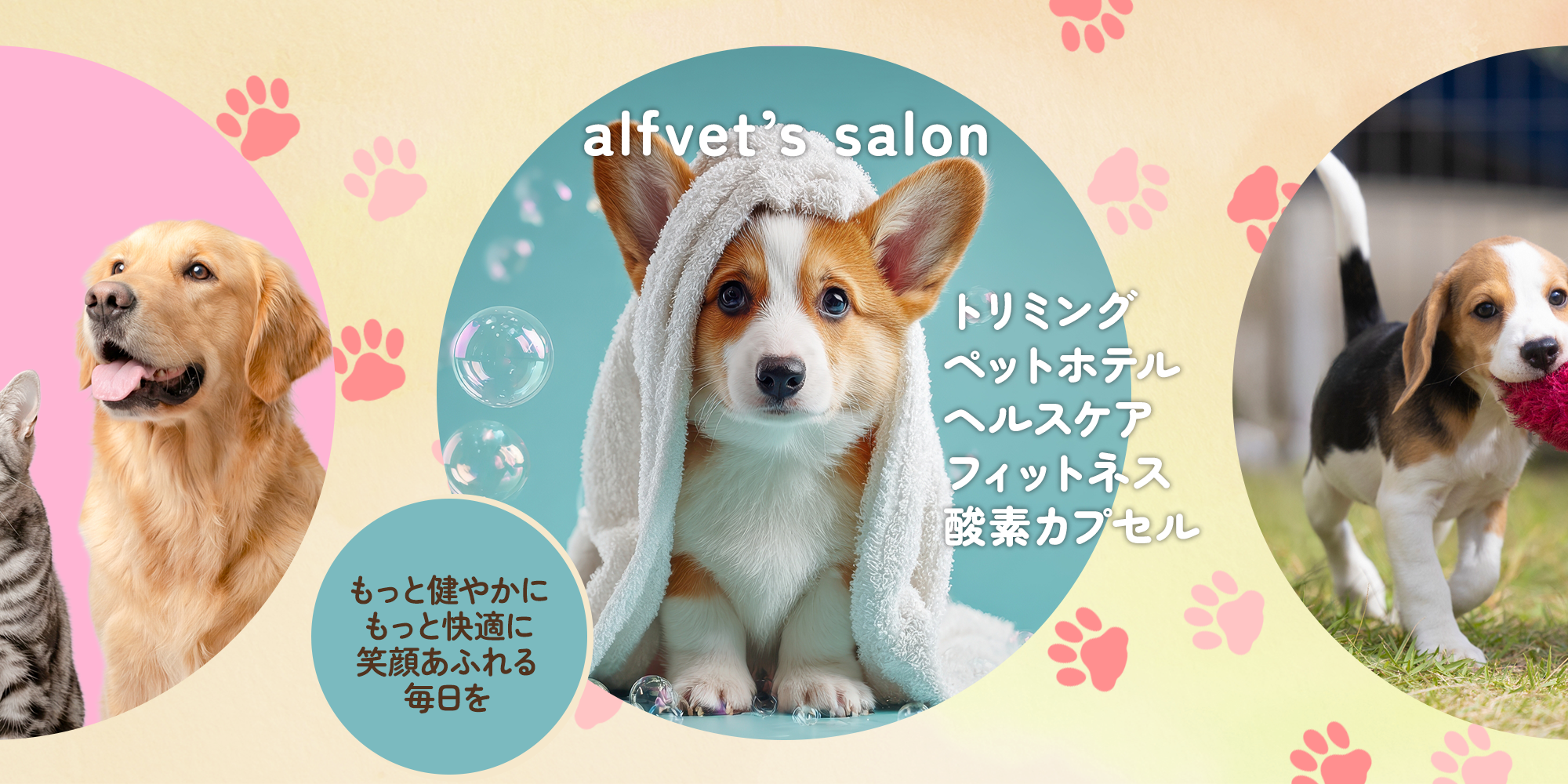 alfvet&amp;#x27;s salon