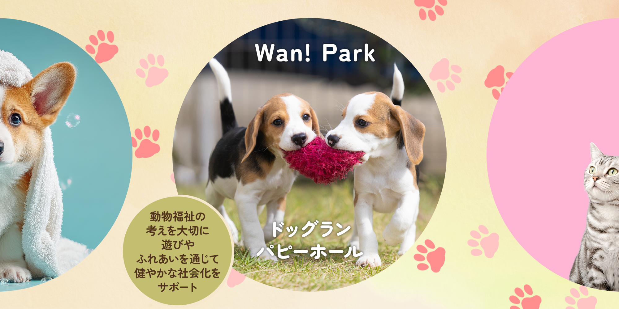 Wan! Park