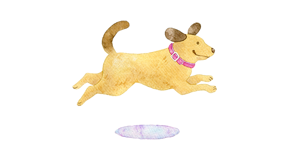 Healthcare ＆ Dog Fitness