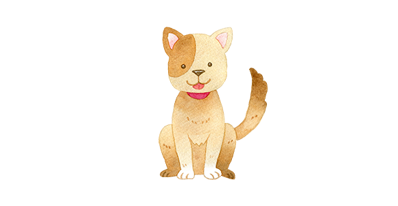 パピーホール