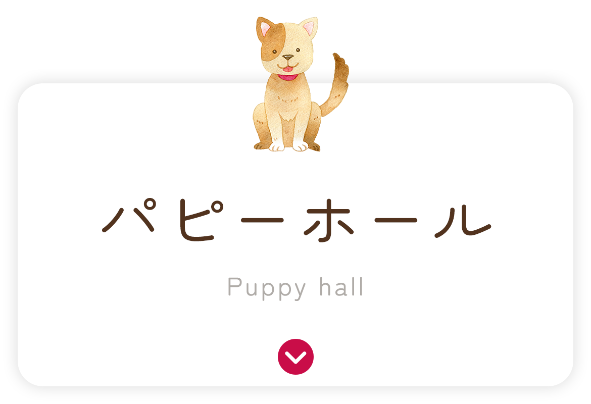 パピーホール