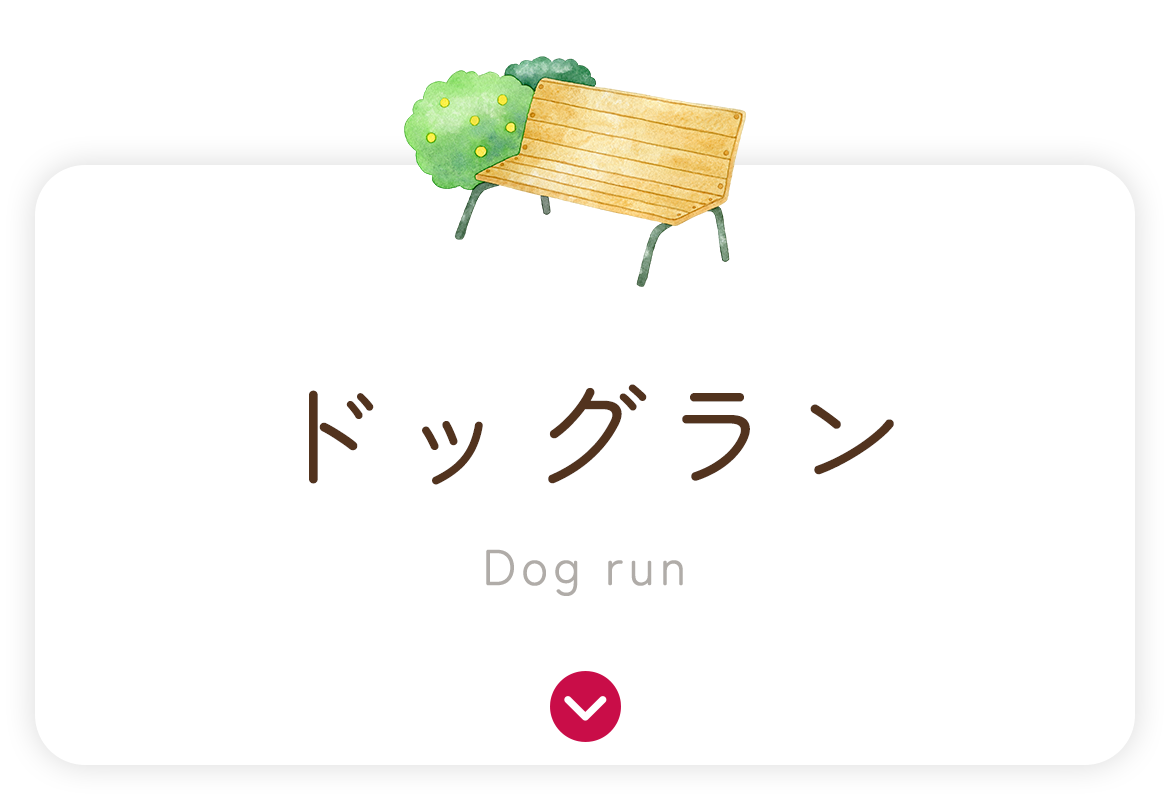 ドッグラン