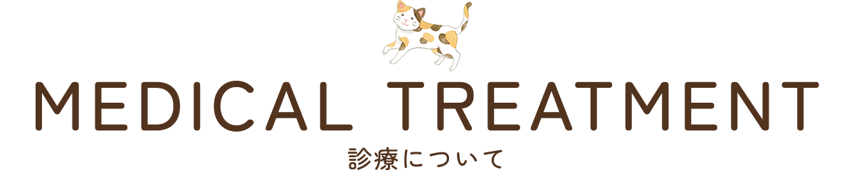 診療について
