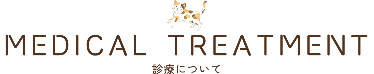 診療について