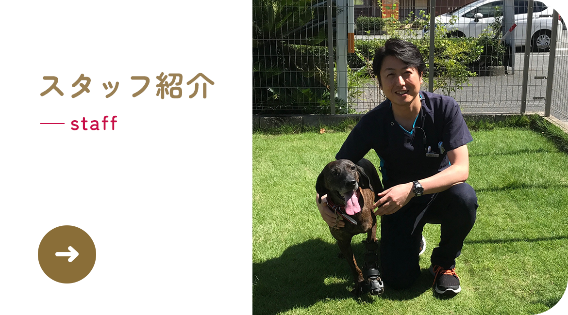 スタッフ紹介